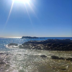 Meet your Posher, Bonnie